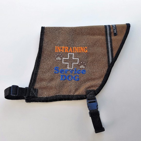 Working Dog Vest for Service Dog in Training - Picture 3 of 16